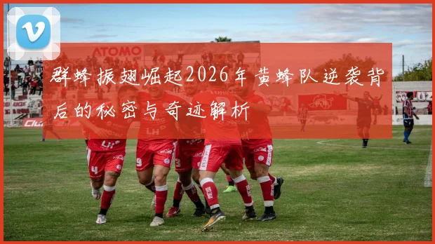 群蜂振翅崛起2026年黄蜂队逆袭背后的秘密与奇迹解析