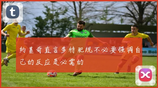 约基奇直言多特犯规不必要强调自己的反应是必需的