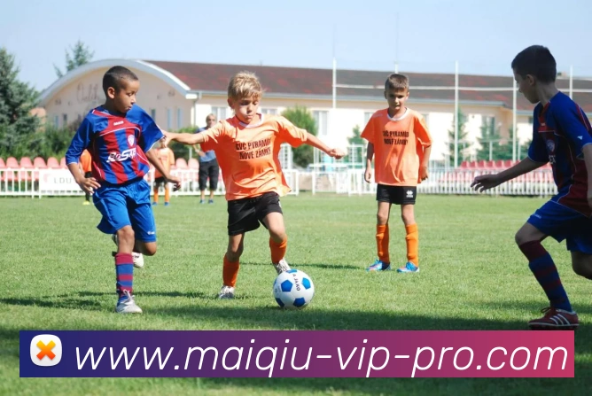 多媒体互动体验